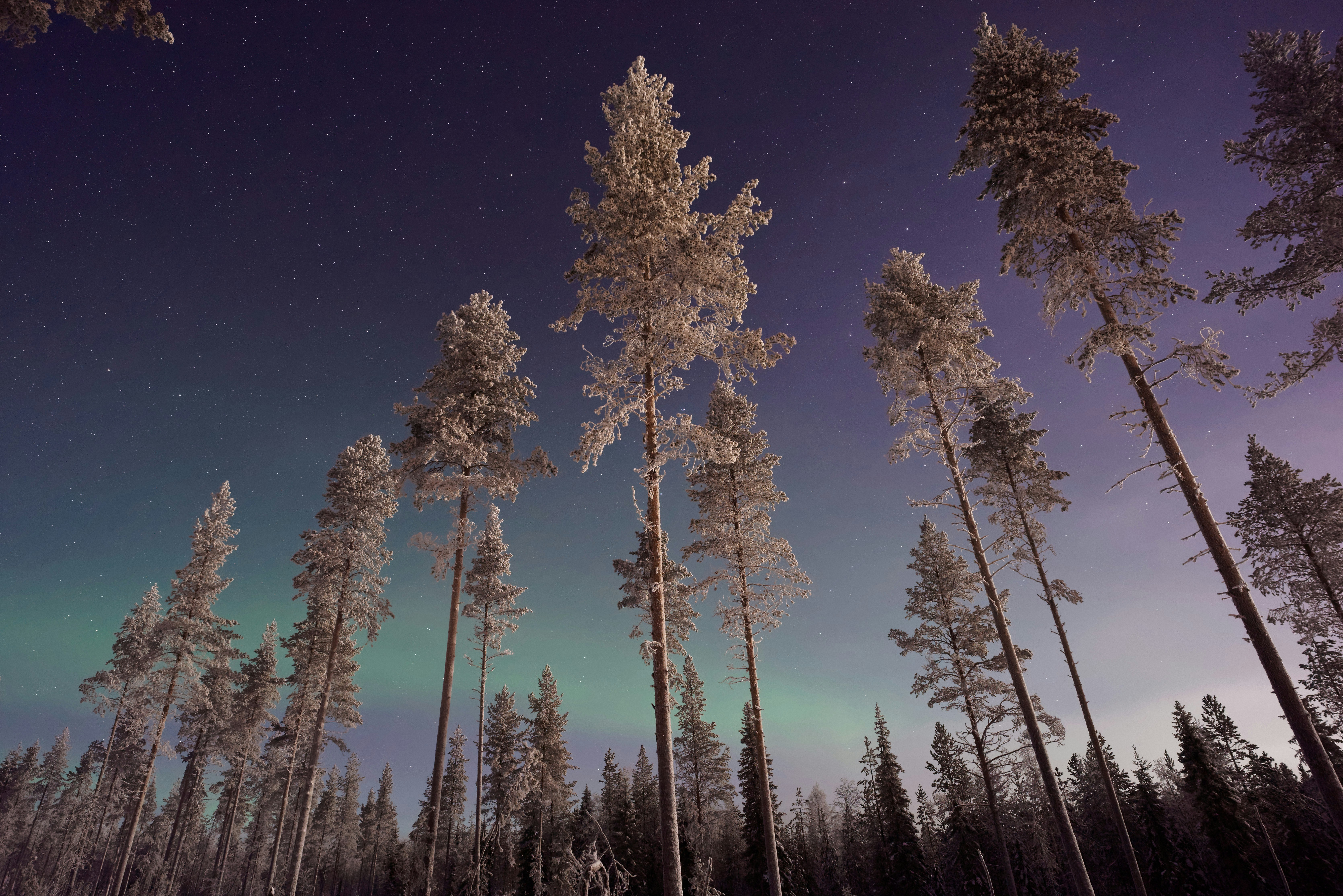 Finland 3